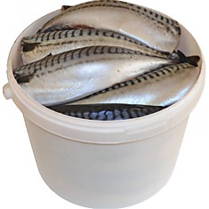 Скумбрия бочковая малосольная, 5000гр./ Barrel mackerel lightly salted, 5000g./