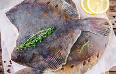 Камбала арктическая,1кг./Arctic flounder, 1kg