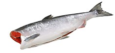 Лосось Нерка, 2кг./ Sockeye salmon, 2 kg